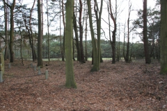 2020-03-01 Dąbrówka - cm ewang (11)