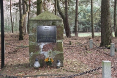 2020-03-01 Dąbrówka - cm ewang (13)