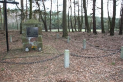 2020-03-01 Dąbrówka - cm ewang (14)