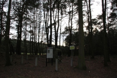 2020-03-01 Dąbrówka - cm ewang (15)