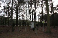 2020-03-01 Dąbrówka - cm ewang (16)