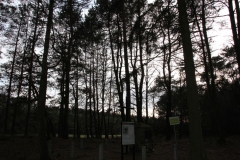 2020-03-01 Dąbrówka - cm ewang (17)