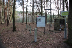 2020-03-01 Dąbrówka - cm ewang (2)