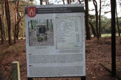 2020-03-01 Dąbrówka - cm ewang (3)