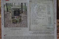 2020-03-01 Dąbrówka - cm ewang (4)