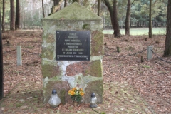 2020-03-01 Dąbrówka - cm ewang (5)