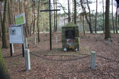 2020-03-01 Dąbrówka - cm ewang (7)