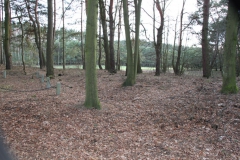 2020-03-01 Dąbrówka - cm ewang (8)