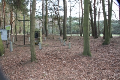 2020-03-01 Dąbrówka - cm ewang (9)