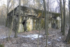 Skrzynki nr.4 schron (52)