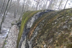 Skrzynki nr.4 schron (54)