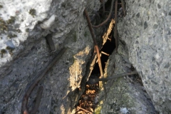 Skrzynki nr.4 schron (55)