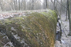 Skrzynki nr.4 schron (56)