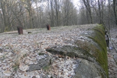 Skrzynki nr.4 schron (57)