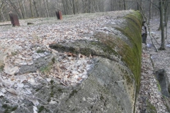 Skrzynki nr.4 schron (59)