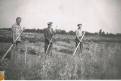 1950r. Sierzchowy - Michał Walczewski, Michał Ponewczyński, Wacław Walczewski