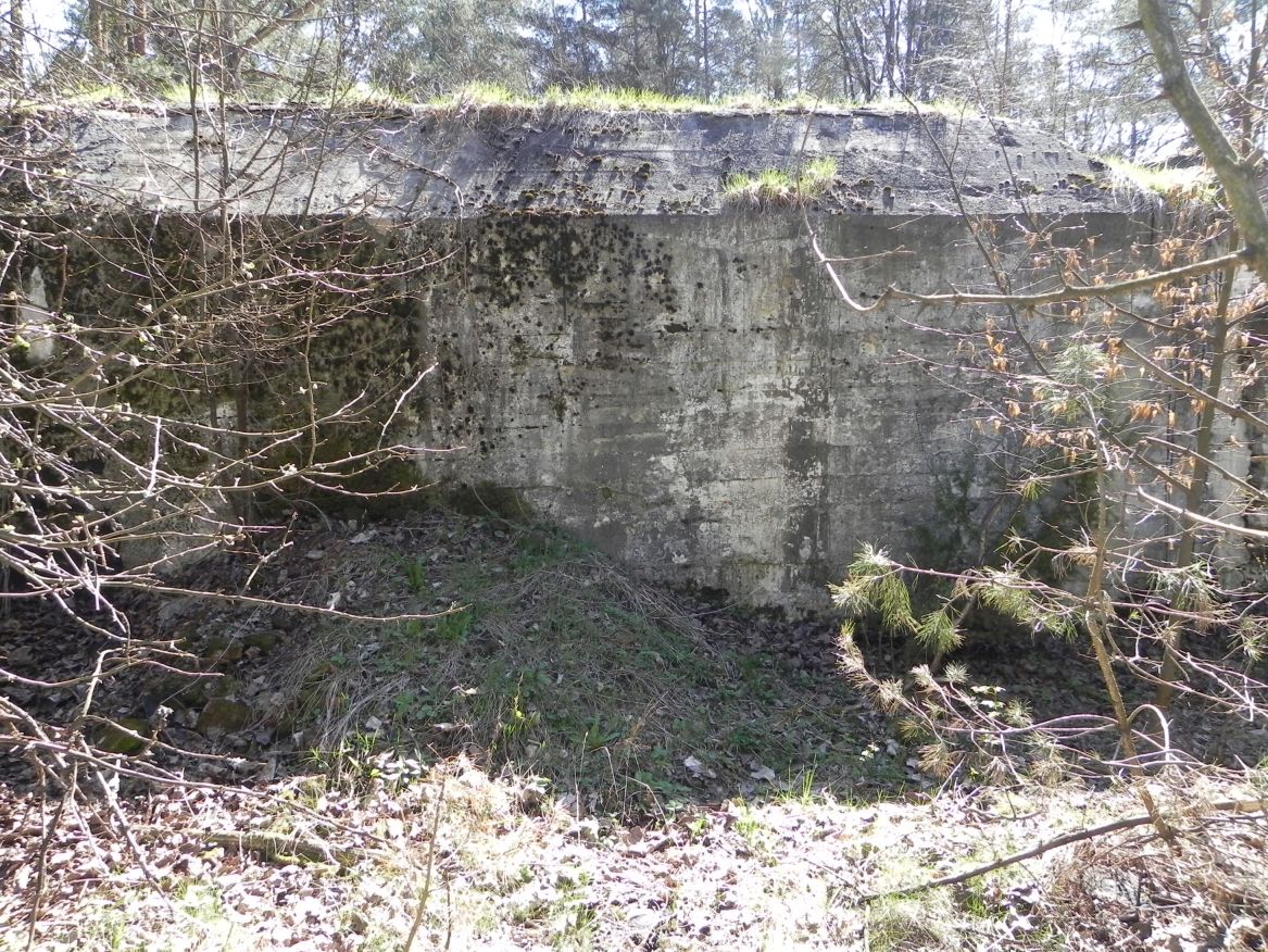 Teofilów - bunkier garaż + Tobruk-1 (86)