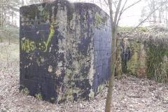Teofilów - bunkier garaż + Tobruk-1 (37)