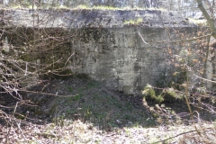 Teofilów - bunkier garaż + Tobruk-1 (39)