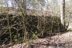 Teofilów - bunkier garaż + Tobruk-1 (40)