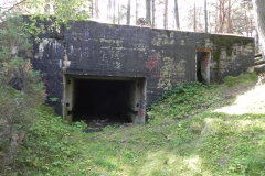 Teofilów - bun. Garaż + Tob3 (27)