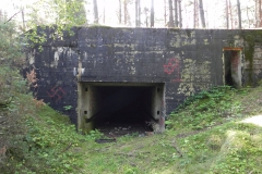 Teofilów - bun. Garaż + Tob3 (28)