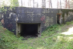 Teofilów - bun. Garaż + Tob3 (29)
