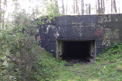 Teofilów - bun. Garaż + Tob3 (30)