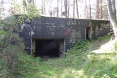 Teofilów - bun. Garaż + Tob3 (31)