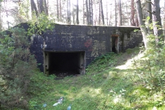 Teofilów - bun. Garaż + Tob3 (32)