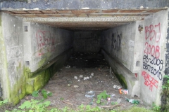 Teofilów - bun. Garaż + Tob3 (34)