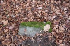 2020-12-28 Marianów - cm ewang (21)