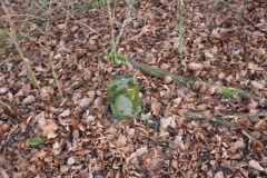 2020-12-28 Marianów - cm ewang (22)