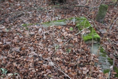 2020-12-28 Marianów - cm ewang (24)