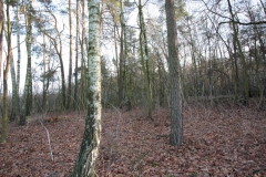 2020-12-28 Marianów - cm ewang (28)