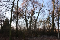 2020-12-28 Marianów - cm ewang (31)