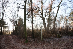 2020-12-28 Marianów - cm ewang (32)