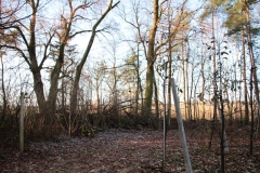 2020-12-28 Marianów - cm ewang (33)