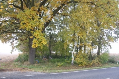 2020-10-25 Sierakowice Prawe - cmentarz (1)