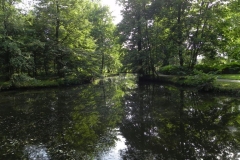 2012-06-30 Arkadia - park (2)